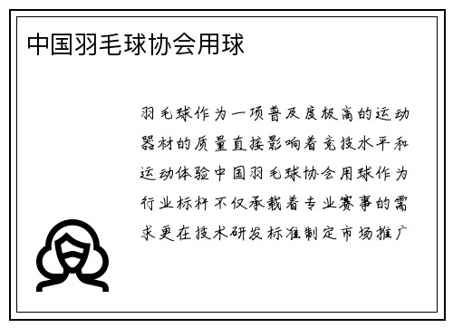 中国羽毛球协会用球