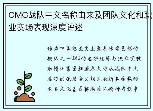 OMG战队中文名称由来及团队文化和职业赛场表现深度评述