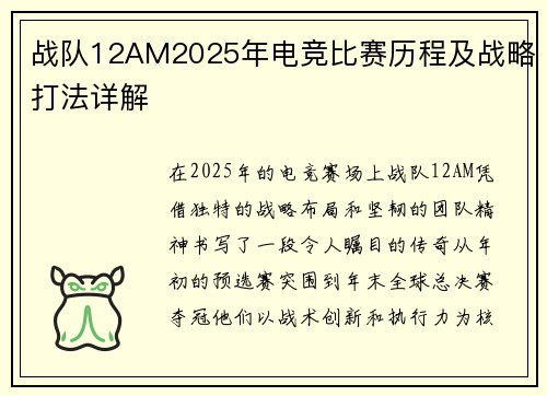战队12AM2025年电竞比赛历程及战略打法详解